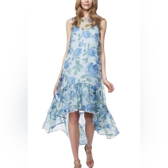 Erin Fetherston New Floral Hydrangea Trianon Maxi Dress Size 8 - Picture 1 of 8